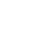 نشان دهیاری
